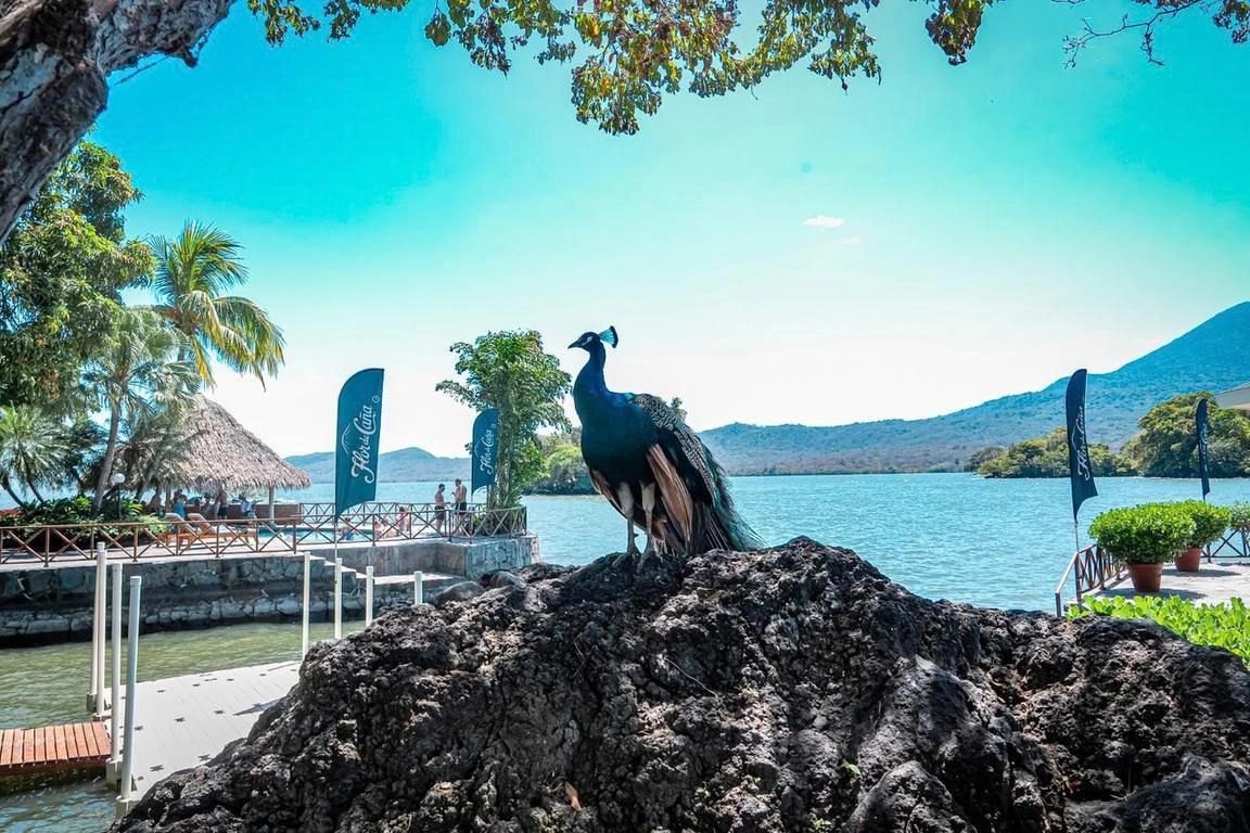 Day 4 at the Flor de Caña Sustainable Cocktail Challenge Global Finals